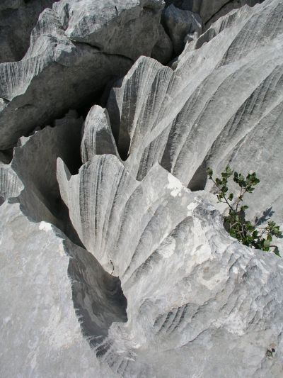 Slika 01.08.04._cepuras_009_.jpg 1