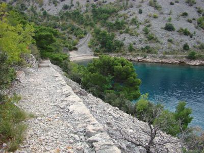 Slika 08-11-04_010.jpg 1