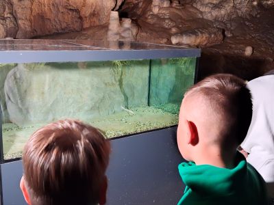 Slika 16571.jpg 1