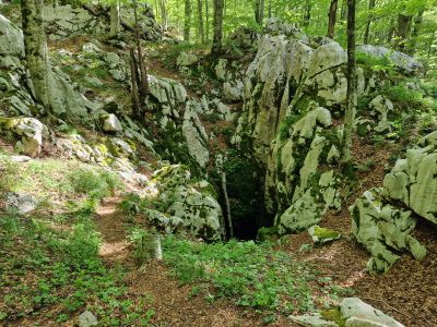 Slika 20230526_090024.jpg 1