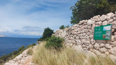 Slika 20240530_140113.jpg 1