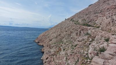 Slika 20240530_154624_1.jpg 1