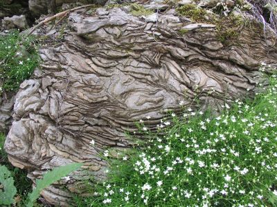 Slika Bila-K_Bakovac_(6).jpg 1