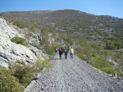 Slika DSC07440.JPG 1