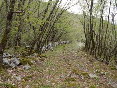 Slika DSCN0448_1.JPG 1