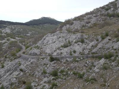 Slika DSCN0490_1.JPG 1