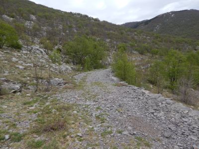 Slika DSCN0547_1.JPG 1