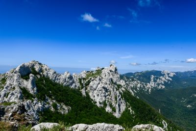 Slika DSC_3162.jpg 1