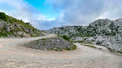 Slika DSC_3335_(Large).jpg 1