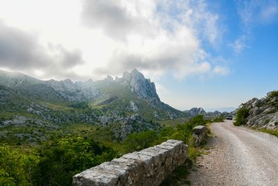 Slika DSC_3349_(Large).jpg 1