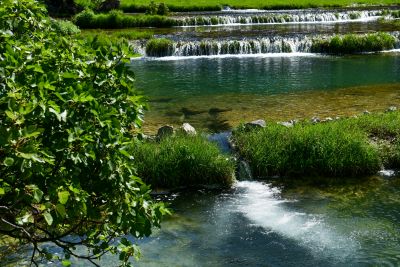 Slika DSC_3468.jpg 1