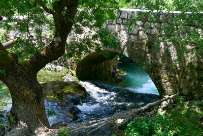 Slika DSC_3704.jpg 1