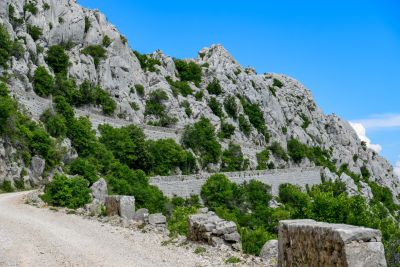 Slika DSC_3799_(Large).jpg 1