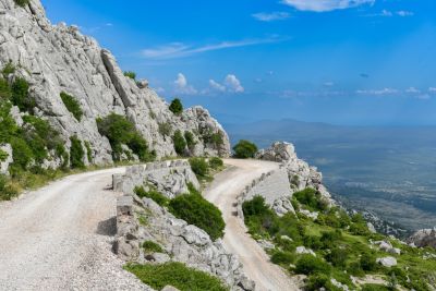 Slika DSC_3805_(Large)_1.jpg 1