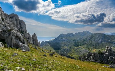 Slika DSC_3845_(Large).jpg 1