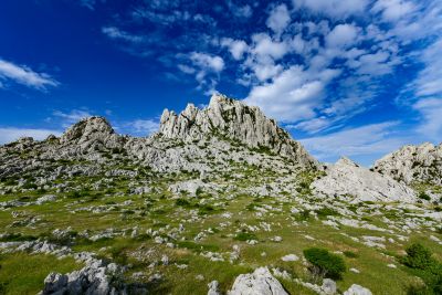 Slika DSC_3903.jpg 1