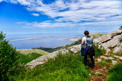 Slika DSC_4878.jpg 1