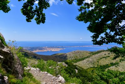 Slika DSC_4935.jpg 1