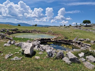 Slika Grcka_lokva_Golubic-M.Petry_.jpg 1