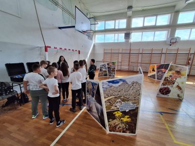 Slika IMG-20260420-WA0061.jpg 1