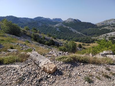 Slika IMG_20260807_093243.jpg 1