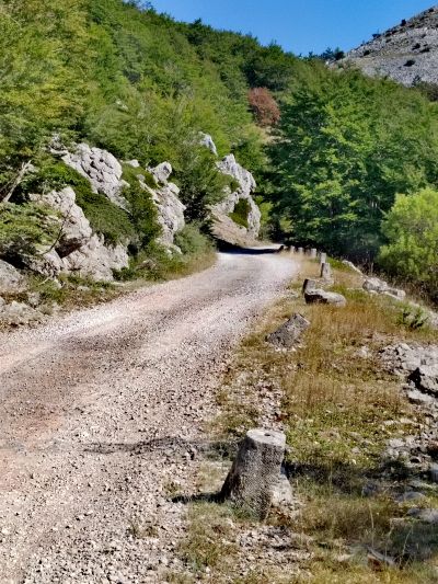 Slika IMG_20260807_195359.jpg 1
