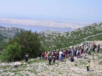 Slika P6090682_1.JPG 1