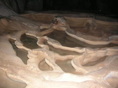 Slika cerov_kamenice__velika.jpg 1