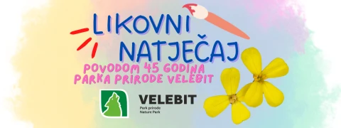 Likovni natječaj