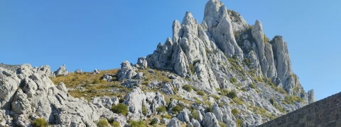 Projekt REVERS povezuje zaštitu prirode i održivi turizam kroz prekograničnu suradnju